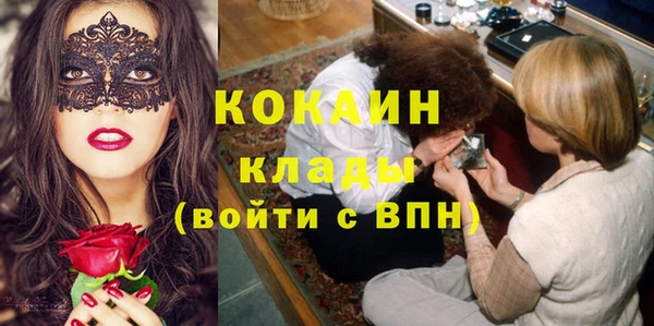 шишки Новозыбков