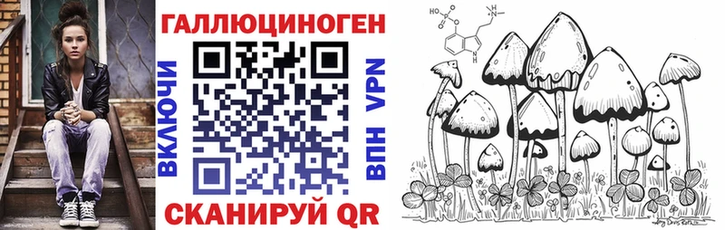 Псилоцибиновые грибы Psilocybe  даркнет сайт  Кремёнки 